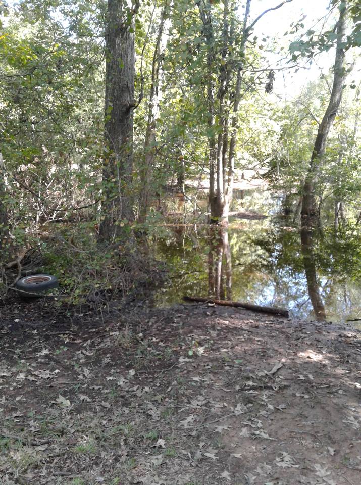 Attached picture pond 23.jpg